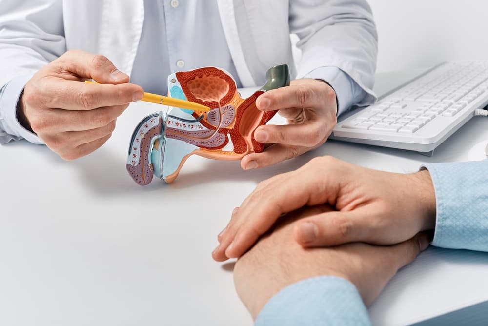 Prix d'une consultation chez l'urologue : tarif et remboursement